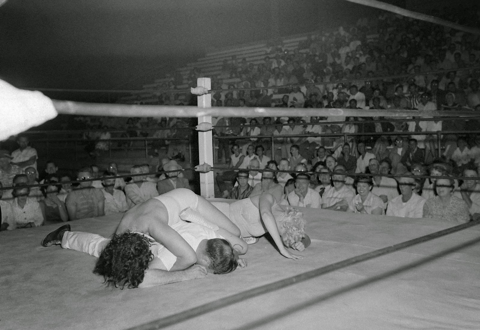 Bad To The Bone Portraits Of Vintage Female Pro Wrestling