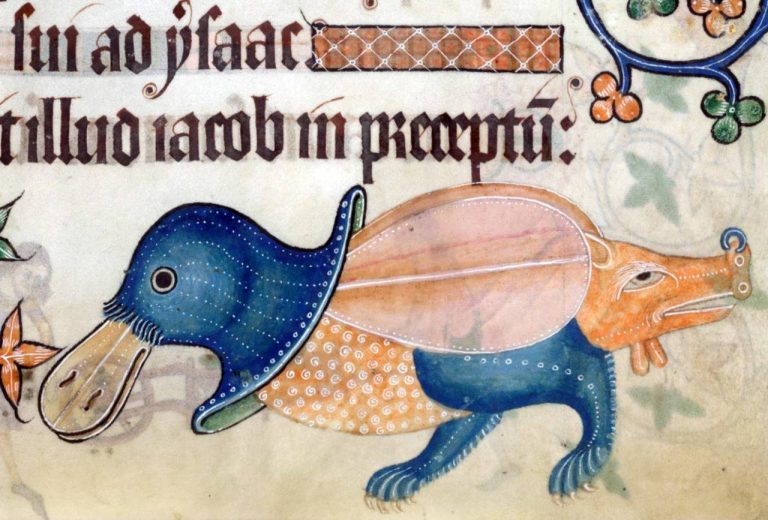 Strange And Bugged Out Sex Pictures… From Illuminated Medieval