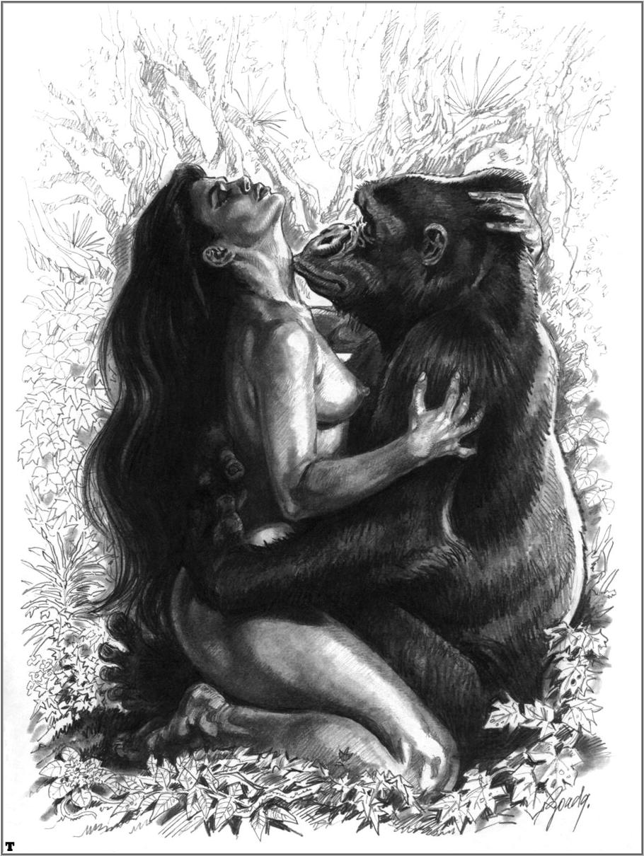 Monkeys have sex on woman's knee