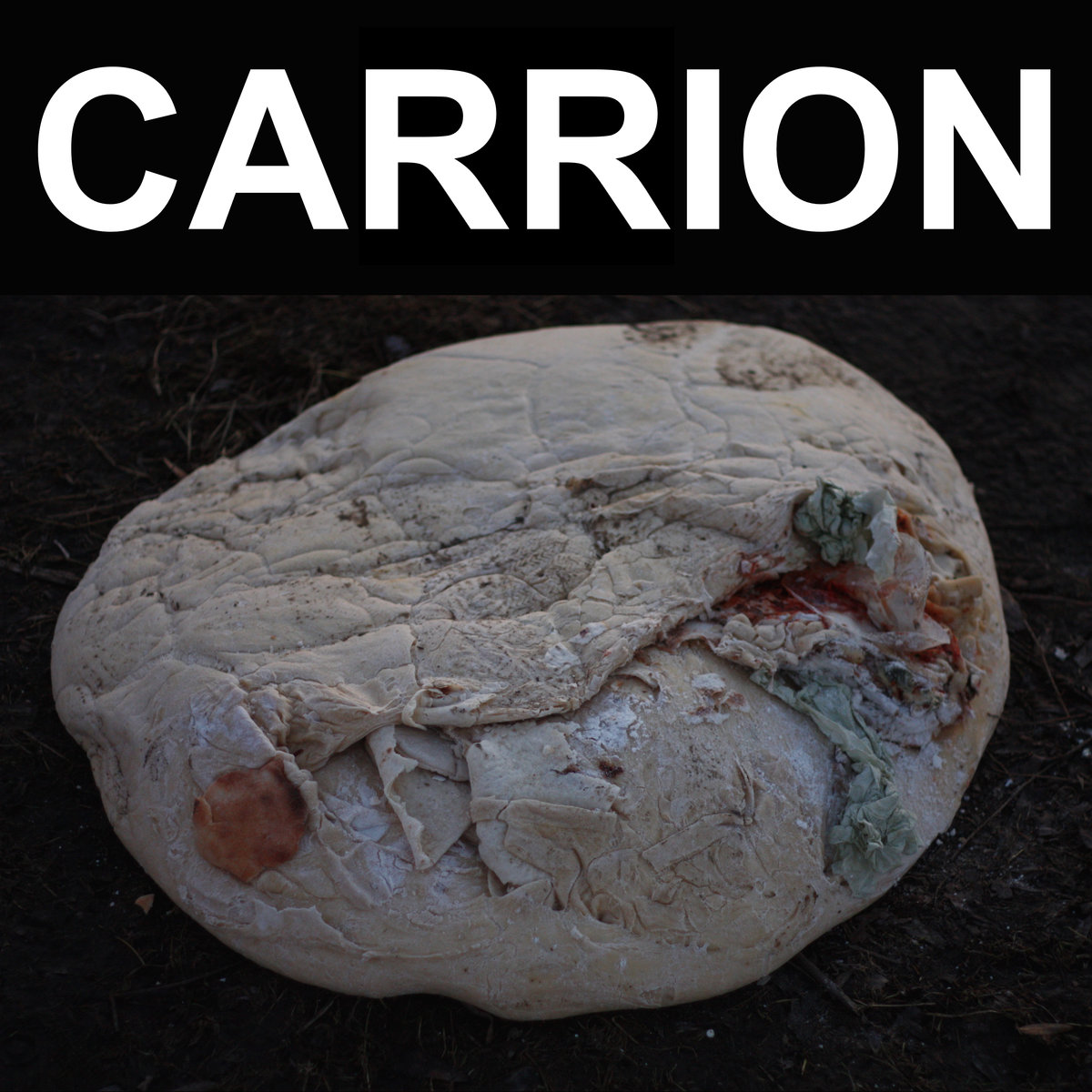 carrion review