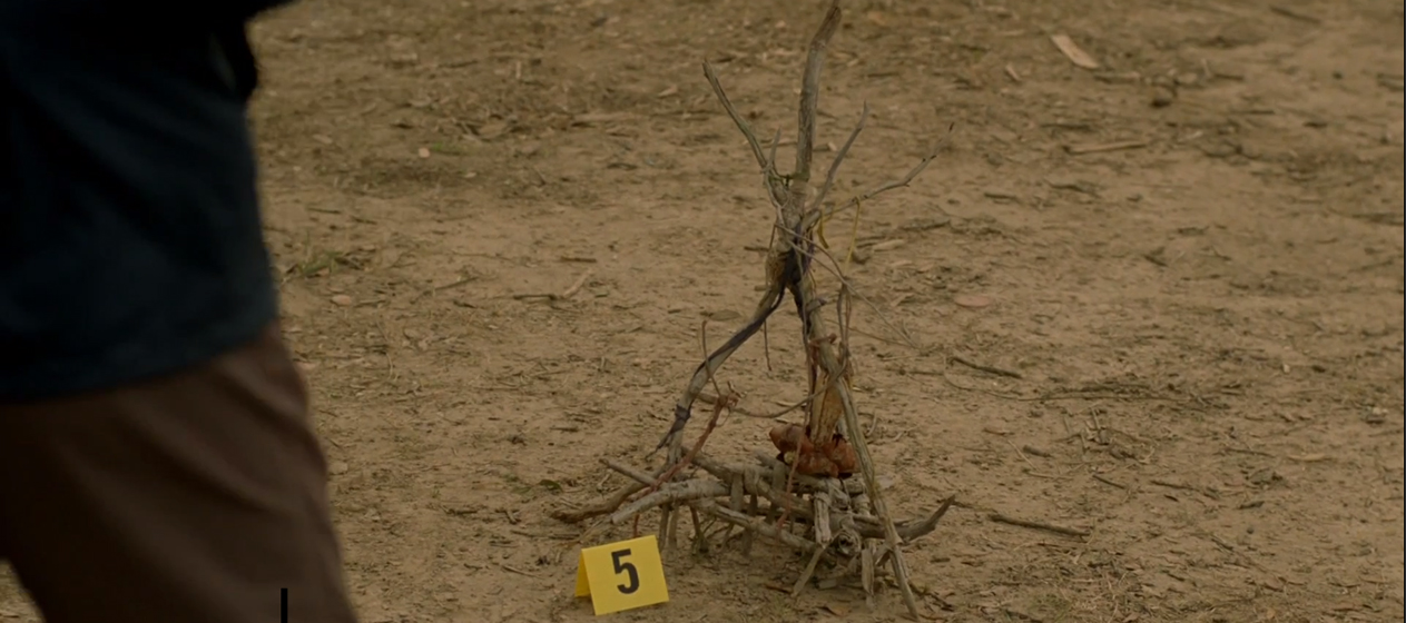 Stick hex from Episode 1 of True Detective.