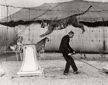 The 1900s Ringling Bros. Circus as captured by Harry A. Atwell – CVLT ...