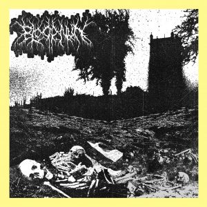 CVLT Nation’s Top 10 BLACK METAL Albums of 2021 – CVLT Nation